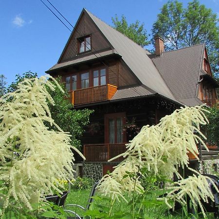 Willa Dewajtis Bed & Breakfast Zakopane Ngoại thất bức ảnh