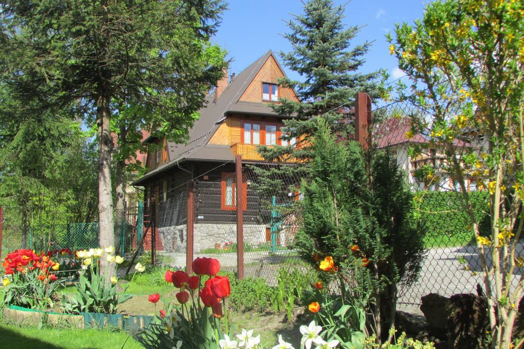 Willa Dewajtis Bed & Breakfast Zakopane Ngoại thất bức ảnh
