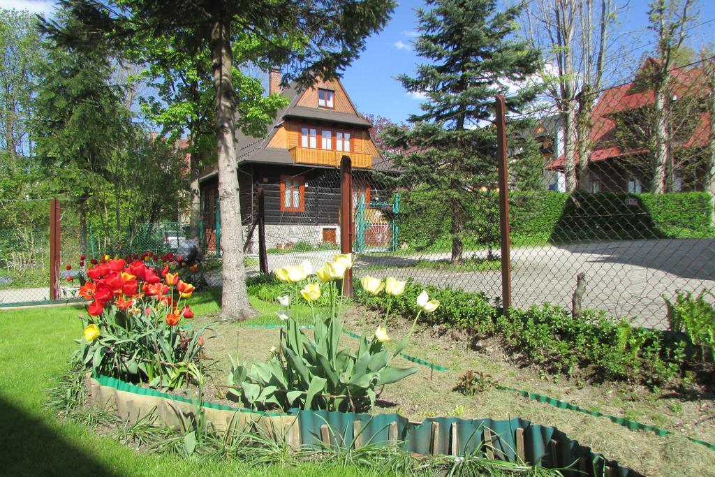Willa Dewajtis Bed & Breakfast Zakopane Ngoại thất bức ảnh